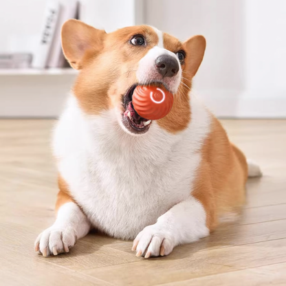 DoggyBall - Stimule et Réduit l'Anxiété